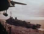 7142.jpg (45kb)