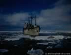 7193.jpg (42kb)
