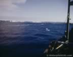 7197.jpg (47kb)