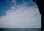 7262.jpg (32kb)
