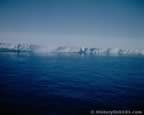 7265.jpg (36kb)