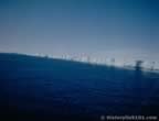 7266.jpg (30kb)
