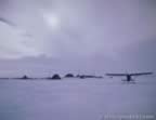 7268.jpg (20kb)