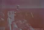 7462.jpg (23kb)