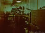 7485.jpg (49kb)