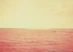 7516.jpg (30kb)