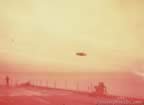 7519.jpg (22kb)