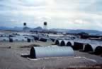 14046.jpg (43kb)