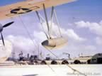4902.jpg (58kb)