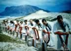 Pictures of Peral Harbor during WWII