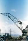 Pictures of Peral Harbor during WWII