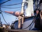 Battleship Construction durning World War 2
