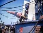 Battleship Construction durning World War II