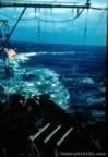 Color Pictures Battleship Alabama
