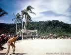 Pictures of Daily Life during World War II