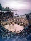 Pictures of Daily Life during World War II
