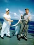 Pictures of Daily Life during World War II
