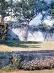 6125.jpg (107kb)