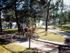 6127.jpg (114kb)