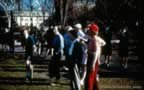 2479-53.jpg (91kb)