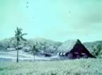 3395.jpg (71kb)