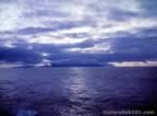 13807.jpg (58kb)