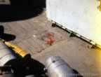 2141.jpg (58kb)
