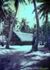 6021.jpg (106kb)