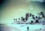6022.jpg (65kb)
