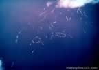 Pictures of Attack on Iwo Jima