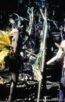 4010.jpg (93kb)