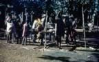 4016.jpg (112kb)