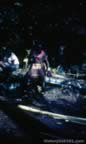 4021.jpg (83kb)