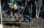 4003.jpg (117kb)