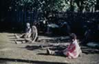 4029.jpg (98kb)