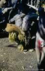 4030.jpg (93kb)