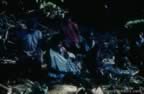 4031.jpg (74kb)