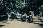 4035.jpg (103kb)
