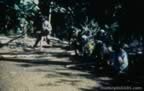 4039.jpg (85kb)