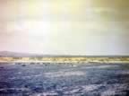 4705.jpg (61kb)