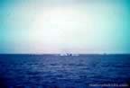 3809.jpg (81kb)