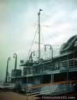 dau-14449.jpg (58kb)