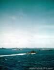 flint-3816.jpg (50kb)
