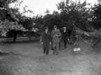 IMG_4405.jpg (135kb)