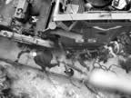 IMG_4205.jpg (117kb)