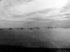 IMG_4337.jpg (57kb)