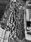 PICT1950.jpg (148kb)