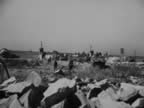 PICT2305.jpg (69kb)