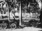 PICT3192.jpg (163kb)