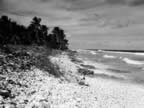 PICT3784.jpg (97kb)